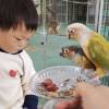 comment-small-img