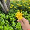 comment-small-img