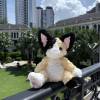 comment-small-img