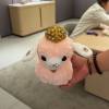 comment-small-img