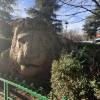 comment-small-img