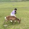 comment-small-img