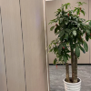 comment-small-img