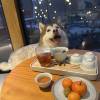comment-small-img