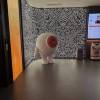 comment-small-img