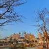 comment-small-img