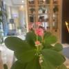 comment-small-img