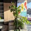 comment-small-img