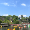 comment-small-img