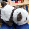 comment-small-img
