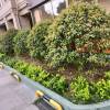 comment-small-img