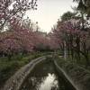 comment-small-img