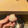 comment-small-img