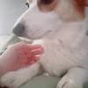comment-small-img