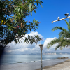 comment-small-img