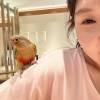 comment-small-img