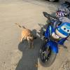 comment-small-img