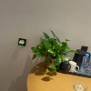 comment-small-img