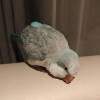 comment-small-img