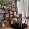 comment-small-img
