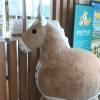 comment-small-img
