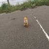 comment-small-img