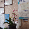 comment-small-img