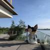 comment-small-img