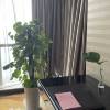 comment-small-img