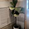 comment-small-img