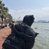 comment-small-img