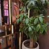 comment-small-img