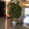 comment-small-img