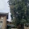 comment-small-img