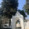 comment-small-img