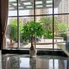 comment-small-img