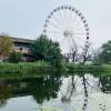 comment-small-img