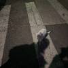 comment-small-img