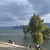 comment-small-img