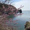 comment-small-img