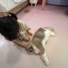 comment-small-img