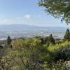 comment-small-img
