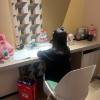 comment-small-img
