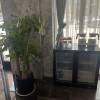 comment-small-img