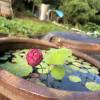 comment-small-img