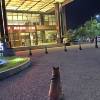comment-small-img