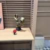 comment-small-img
