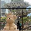 comment-small-img