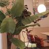 comment-small-img