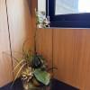 comment-small-img